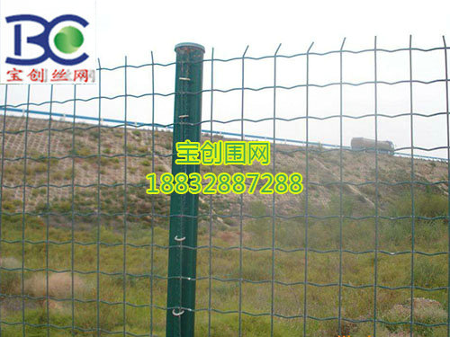 运动场围网